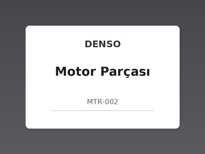 Mahle Piston Takımı